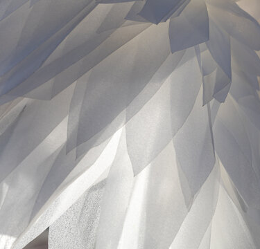White fabric folds softly catch diffused light