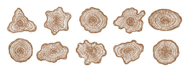 Fototapeta premium Set of vector images of a tree trunk cross-section with detailed texture of annual rings; illustrations of natural wood sections isolated on white background.