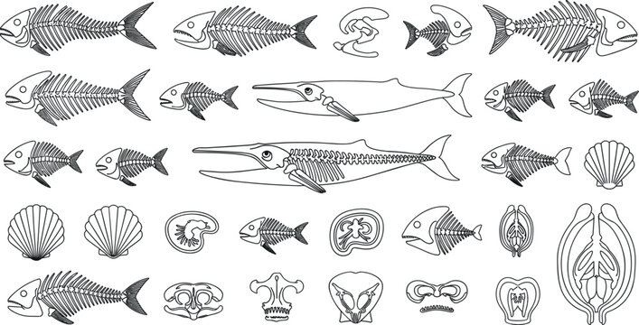 Marine fossil fish skeletons line icons set featuring prehistoric whale bones anatomy structures underwater biology elements and seashell graphics
