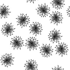 Fototapeta premium seamless pattern flower nigella sativa hand drawn. spice black, cumin medicine, petal caraway flower nigella sativa black sketch illustration