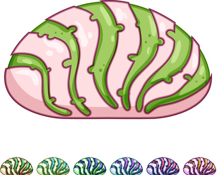 az&uacute;car mexican conchas cartoon. colorido decoraci&oacute;n, historia ingredientes, harina levadura az&uacute;car mexican conchas sign colorful illustration