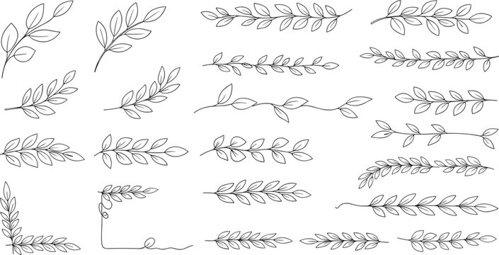Hand drawn botanical leaf border collection with elegant line art laurel branch dividers and floral corners vector illustration