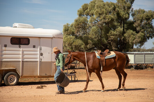 Woman leading her stockhorse at the end of the muster