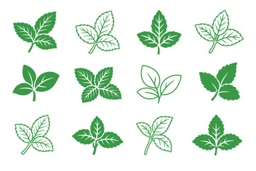 Obraz premium Green mint leaf vector icon set with various organic herbal designs in solid and outline styles for fresh food and cosmetic branding