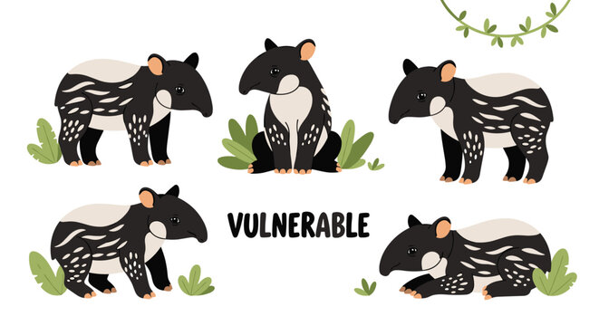 Cute Tapir Animal Illustration Set Vulnerable.
