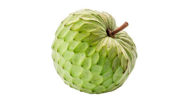 Fresh green exotic cherimoya custard apple fruit isolated on a transparent background