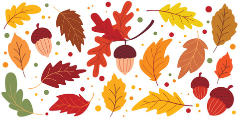 Fototapeta premium Set of colorful autumn acorns and leaves. Fall season botanical forest collection of clip art elements. Colorful oak foliage and fruits. Vector graphics