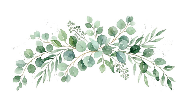 Watercolor Eucalyptus Garland Border Clipart - Elegant Greenery Botanical Header Isolated on Transparent Background