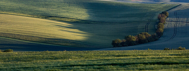 Obraz premium rolling green fields in early summer in Czech Moravia