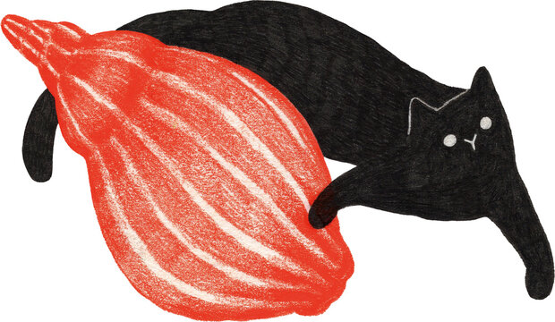 Whimsical black cat with orange conch shell clipart, colored pencil texture hand-drawn illustration, isolated PNG