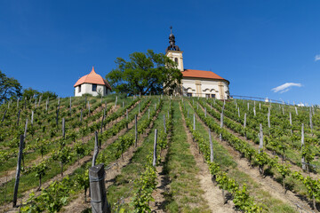 Fototapeta premium church in middle of a vineyard in Moravia