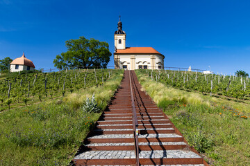 Fototapeta premium church in middle of a vineyard in Moravia