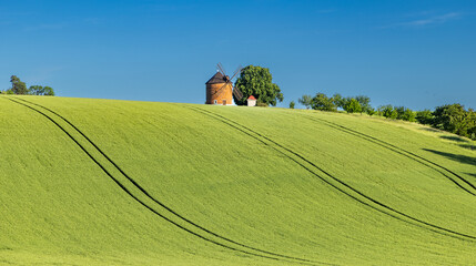Fototapeta premium rolling green fields in early summer in Czech Moravia