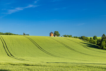Obraz premium rolling green fields in early summer in Czech Moravia