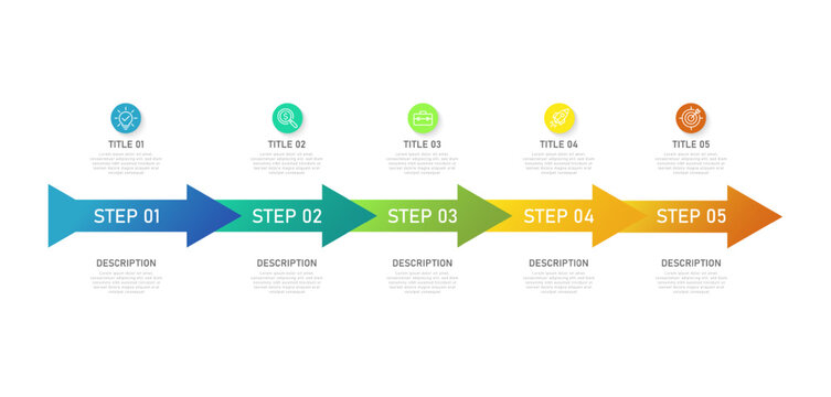 business rounded infographic template with 5 options