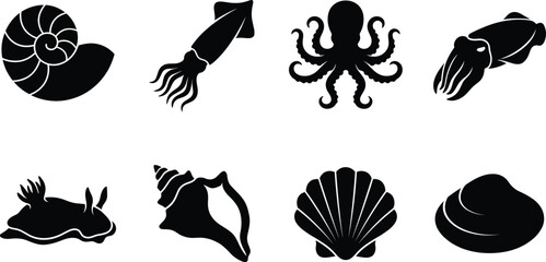 Black silhouettes of marine mollusks and cephalopods vector icons isolated on a white background © MstAshida