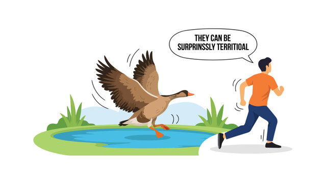 Canada goose chasing man, humorous flat illustration of a territorial bird pursuing a running pedestrian in a public park, urban wildlife encounter, colorful vector design.