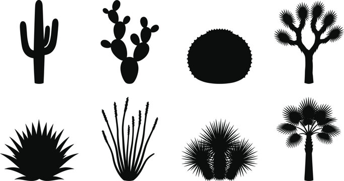Desert plants and cactus species vector silhouette collection featuring saguaro, prickly pear, agave, and desert palm trees
