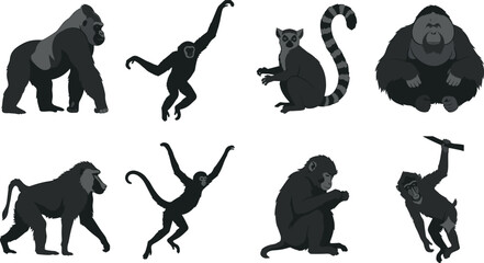 Monkeys and primates vector illustration set featuring gorilla orangutan baboon gibbon lemur and chimpanzee silhouettes © MstAshida