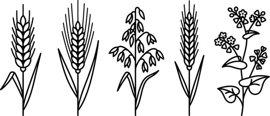 Fototapeta premium Monoline Cereal Grain Icons: Wheat, Barley, Oat, Rye, Buckwheat Vector Outline Set
