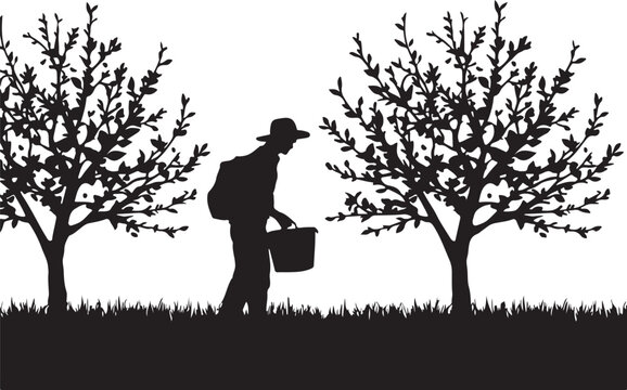 Silhouette of a man watering trees with a bucket