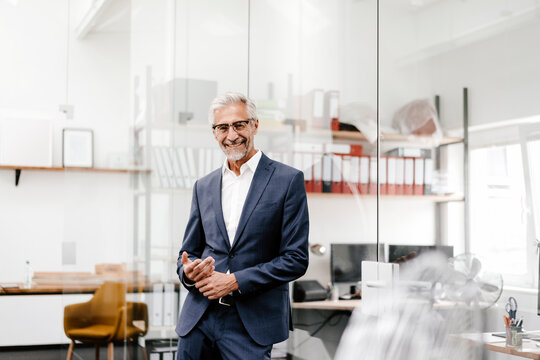 Portrait of smiling mature businessman in office