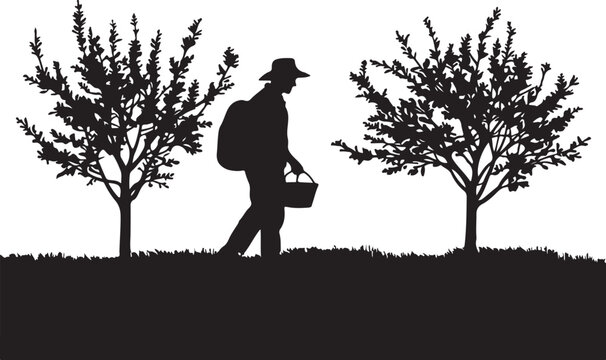 Silhouette of a person walking with a basket, trees