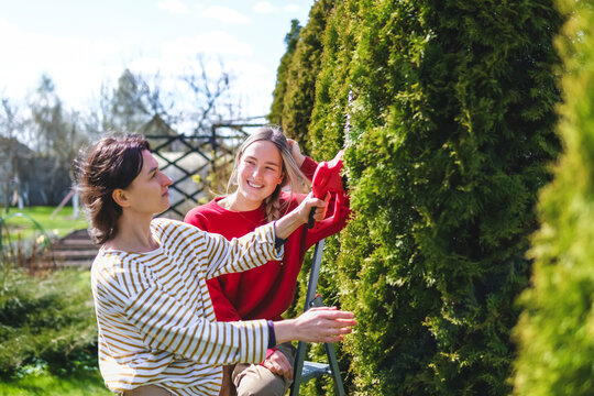 Friends doing yard work and trimming a backyard hedge in spring