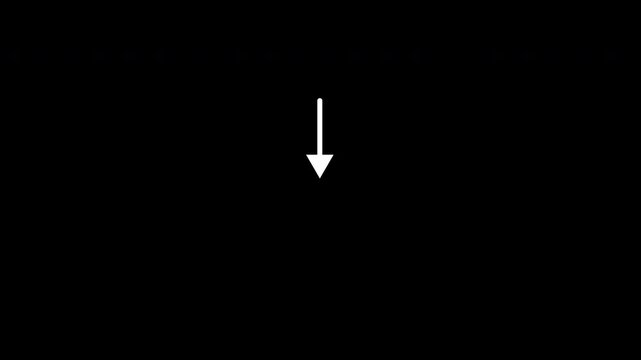4k set of white color arrow appears animation on a transparent background, alpha channel video, with 4k video animation