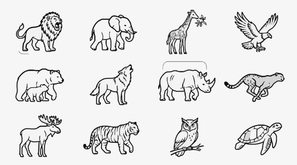 Sleek Black and White Line Drawing Set of 12 Distinctive Animals Including Lion Elephant Giraffe Eagle Bear Wolf Rhinoceros Cheetah Moose Tiger Owl Tortoise © Ray
