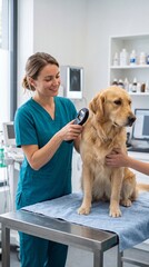 Veterinarian Scanning Pet Microchip