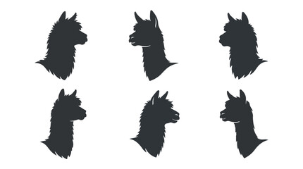 Obraz premium Six alpaca head silhouettes on white background 