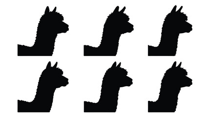 Obraz premium Six alpaca head silhouettes on white background 