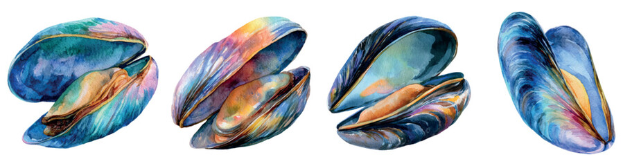 Mussels in a watercolor illustration style representing fresh seafood and marine life. Featuring open and closed bivalve shells with rich blue and colorful hues © Mari