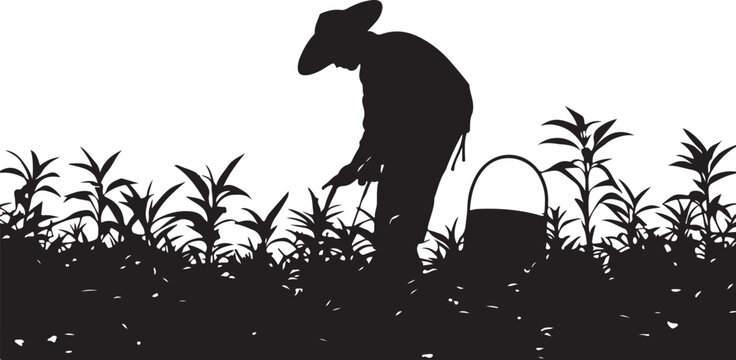 Silhouette of a farmer working in a field with plants basket