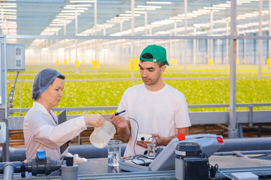 A woman and man analyze nutrient solutions in a vast hydroponics greenhouse, ensuring optimal conditions for growing salad vegetables