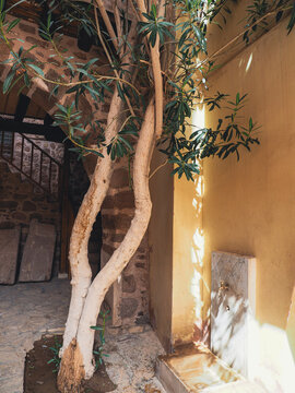 Saint Catherine orthodox church Sinai peninsula Sharm El Sheikh Sinai mountain
