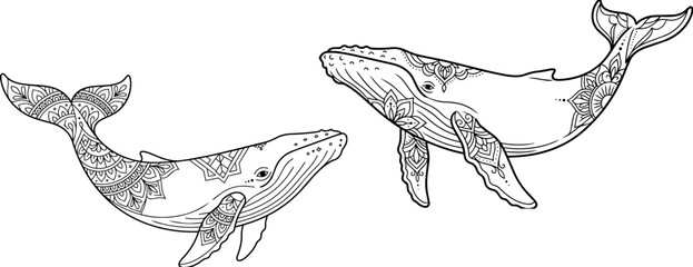 Two whale swimming animal mandala Design  © sazid
