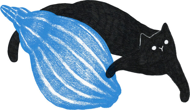 Playful black cat with cobalt blue conch shell, colored pencil texture hand-drawn graphic, isolated PNG