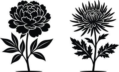Fototapeta premium Black silhouette peony and chrysanthemum flowers vector icons isolated on white background