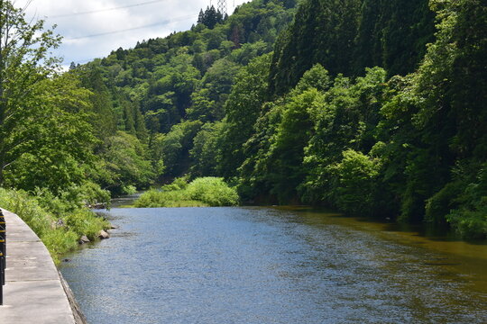 田舎の清流