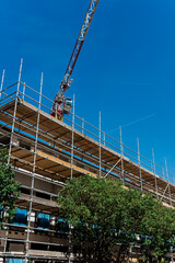 Fototapeta premium Scaffolding and a tower crane top a building under construction, partly screened by summer trees.