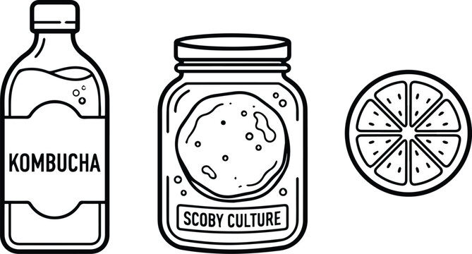 Kombucha Bottle, Scoby Culture Jar, and Orange Slice Icon Set Vector