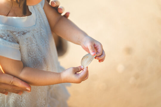 Close up of little Asian girl hands holding and exploring a small seashell on sandy beach, cute curious child collecting sea shells during summer family vacation for travel tourism, childhood