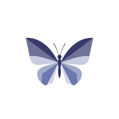 Purple Butterfly Wings Spread Wide Open. © bibit