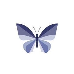 Purple Butterfly with Open Wings. © bibit