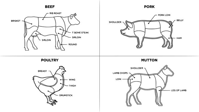 Beef, Pork, Poultry, and Mutton Meat Cuts Diagram in Black and White Line Illustration for Kitchen and Food Education