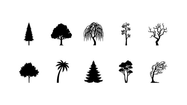 Trees in Various Styles and Shapes as Black and White Silhouettes Featuring Tree, Silhouette, Nature with Forest and Leaf