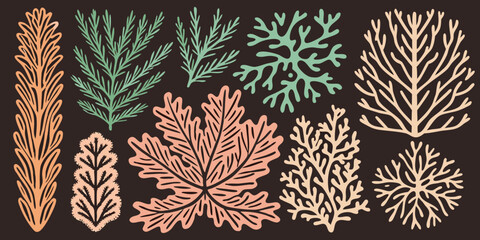 Seaweed And Coral Vector Illustration Collection Teal And Peach Tones © Ajay