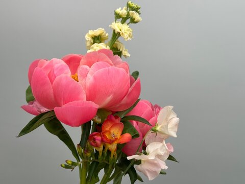 Bouquet of fresh peony, matthiola, lathyrus, freesia flowers 